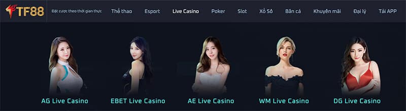 live casino tf88
